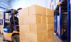 Etiam commodo convallis